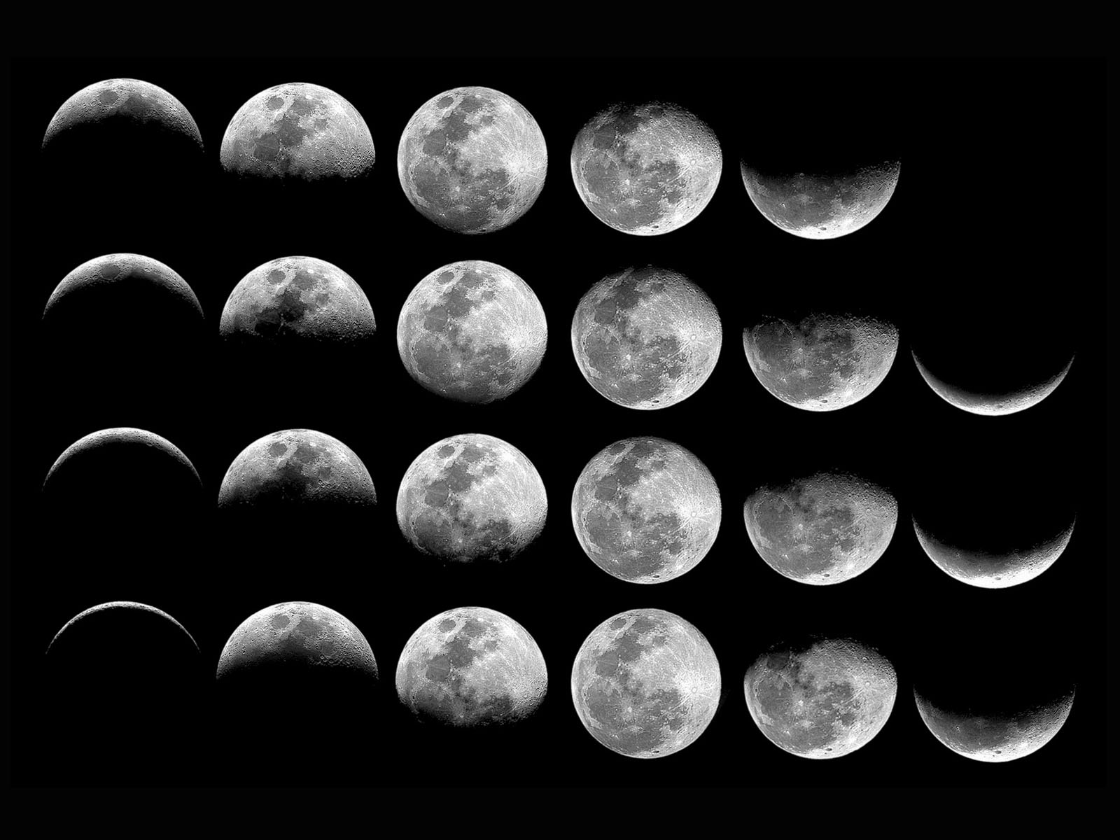Phases of the moon Essay